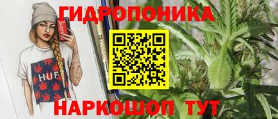 прущие грибы Ликино-Дулёво