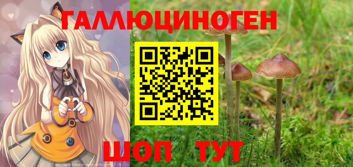 Знаменск  Галлюциногенные грибы мицелий  Вход с VPN 